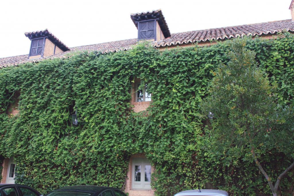 Foto de Almagro (Ciudad Real), España