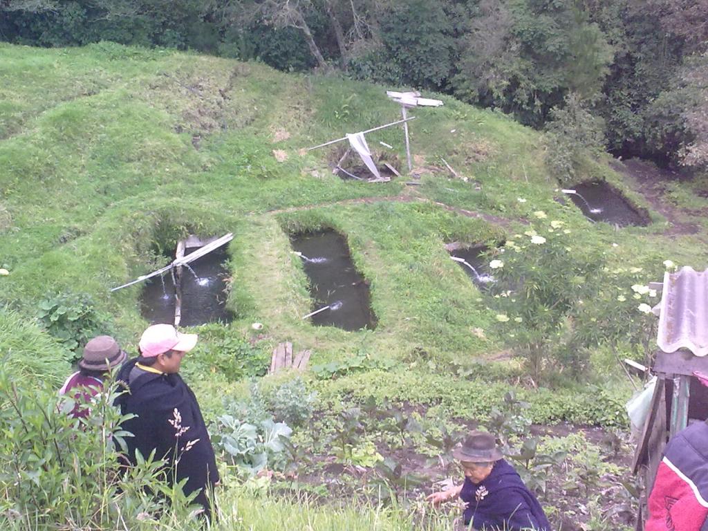 Foto de Matus, Ecuador