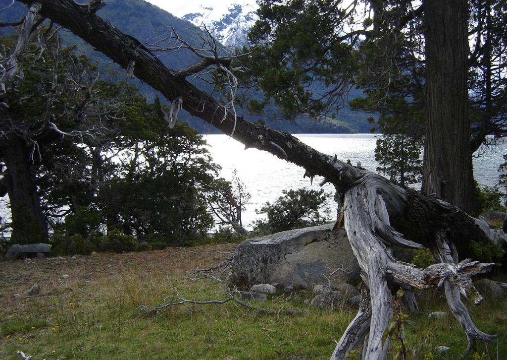 Foto de Esquel (Chubut), Argentina