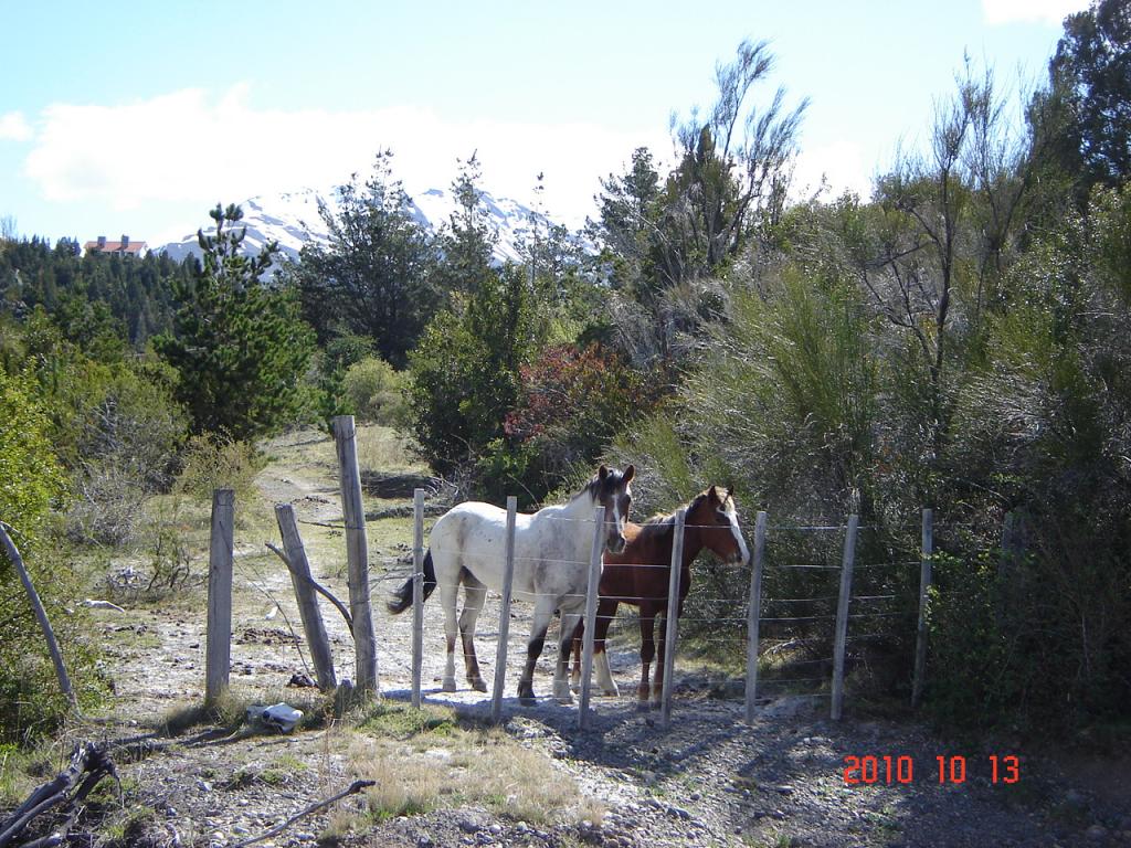 Foto de Esquel (Chubut), Argentina