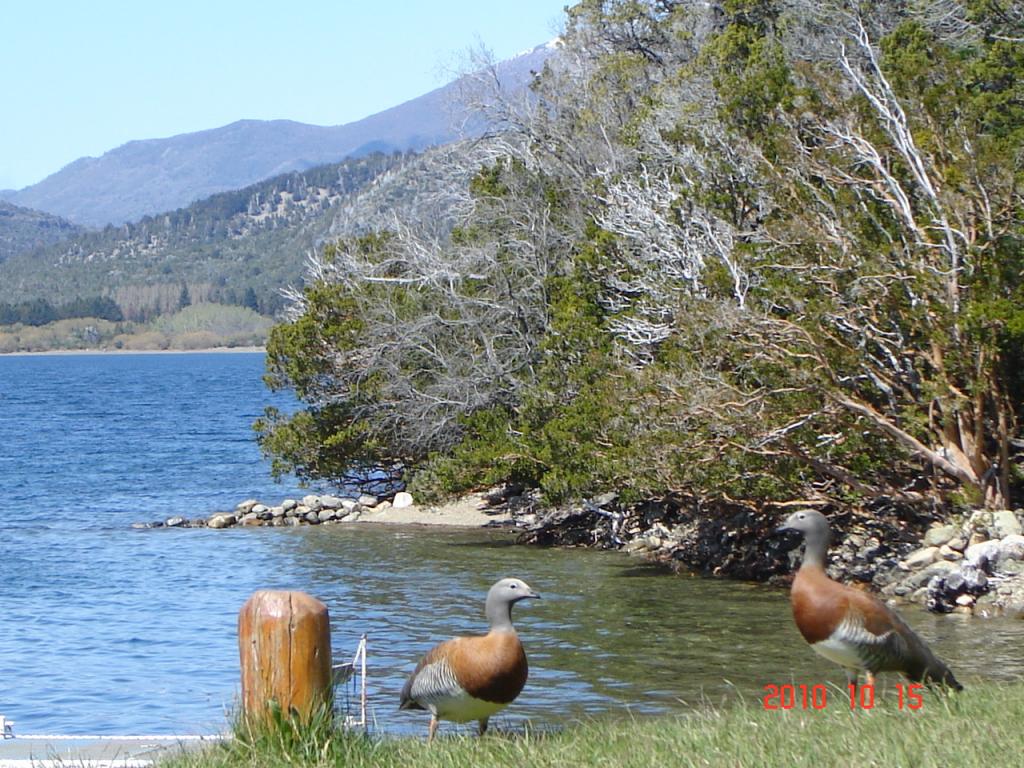 Foto de Esquel (Chubut), Argentina