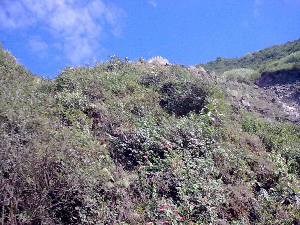 Foto de Baños, Ecuador