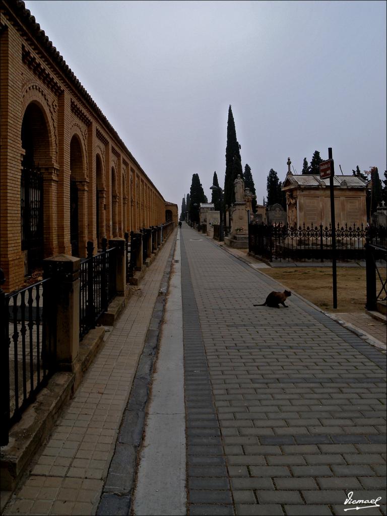 Foto de Zaragoza (Aragón), España