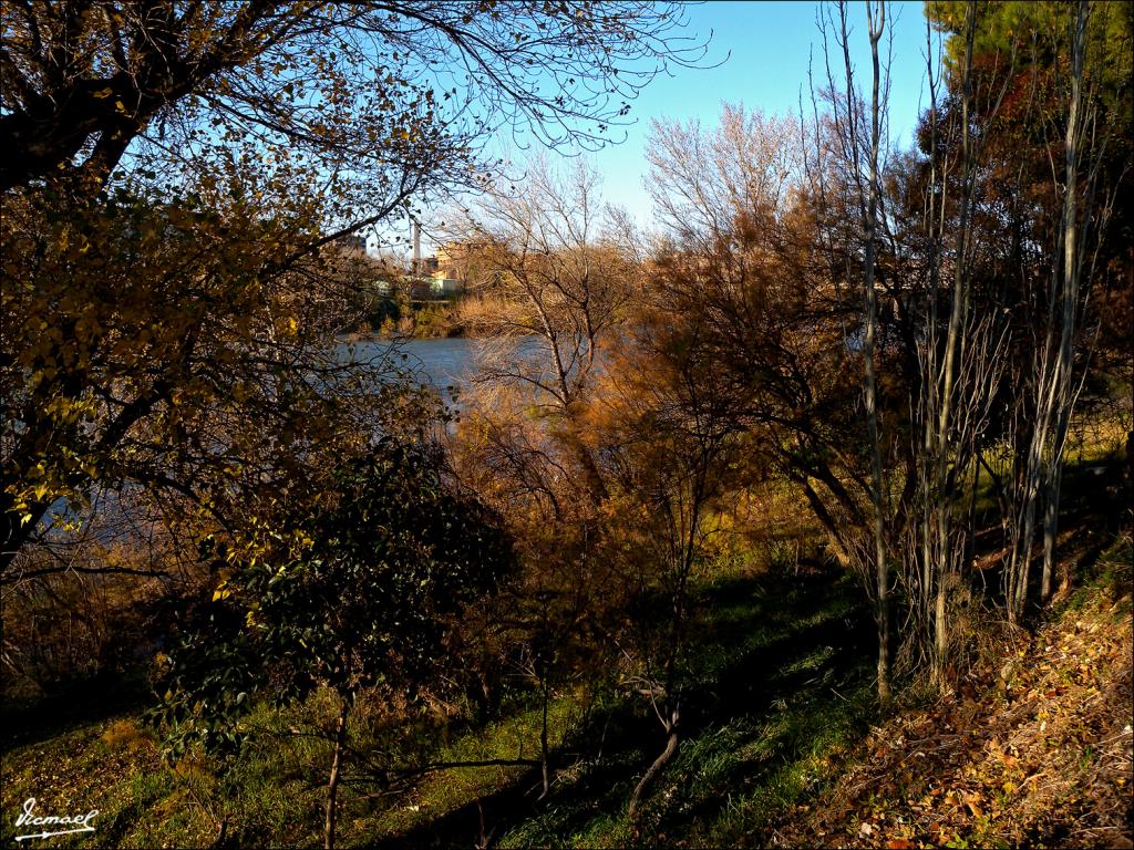 Foto de Zaragoza (Aragón), España