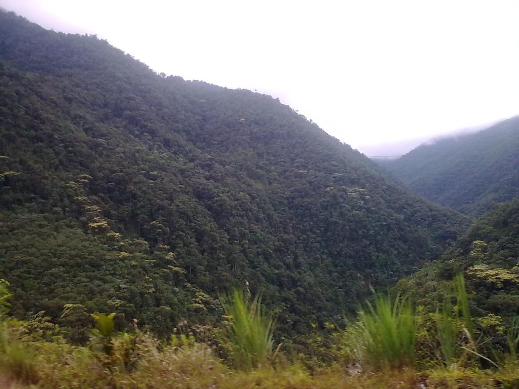 Foto de Rio Negro, Ecuador