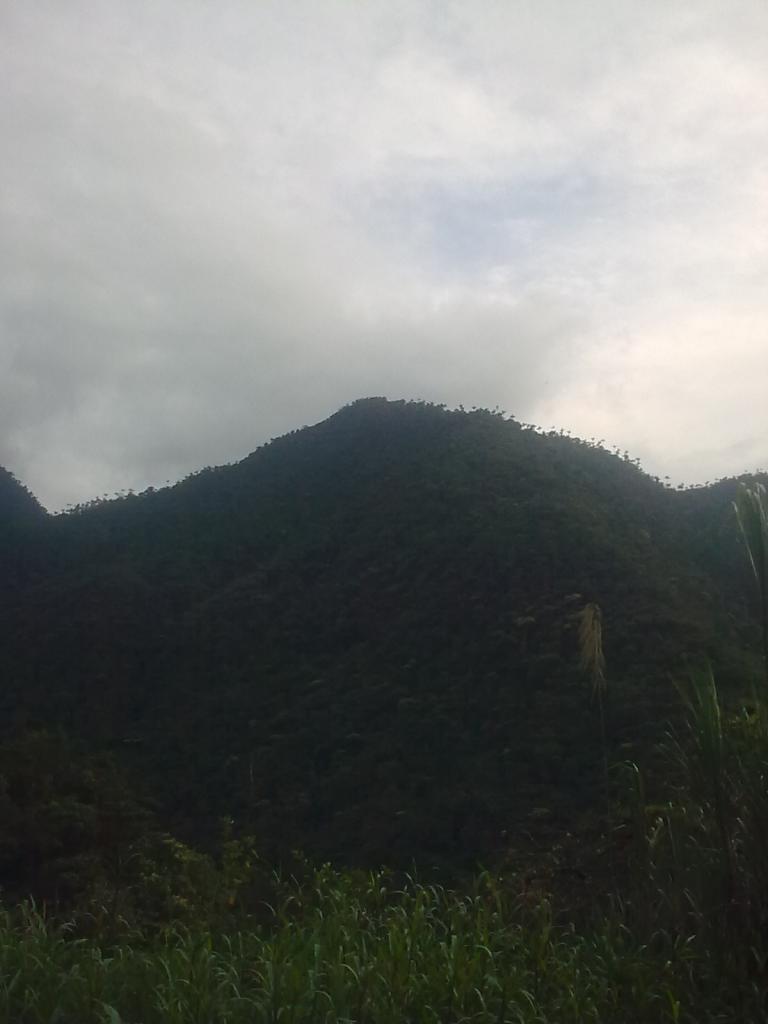 Foto de Rio Negro, Ecuador