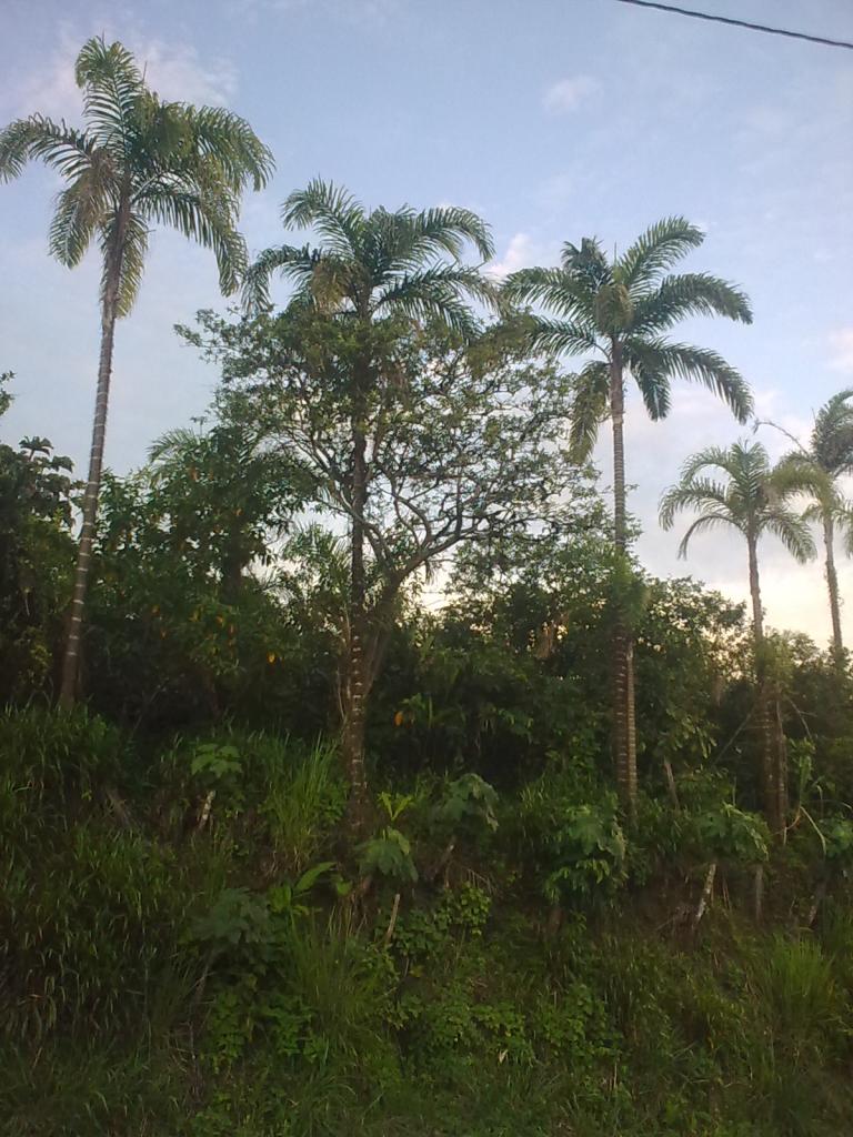 Foto de Shell, Ecuador