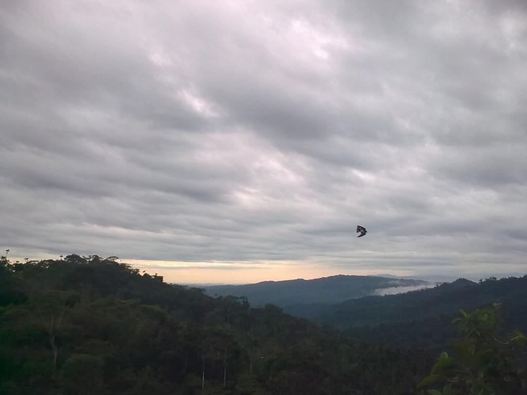 Foto de Simon Bolivar, Ecuador