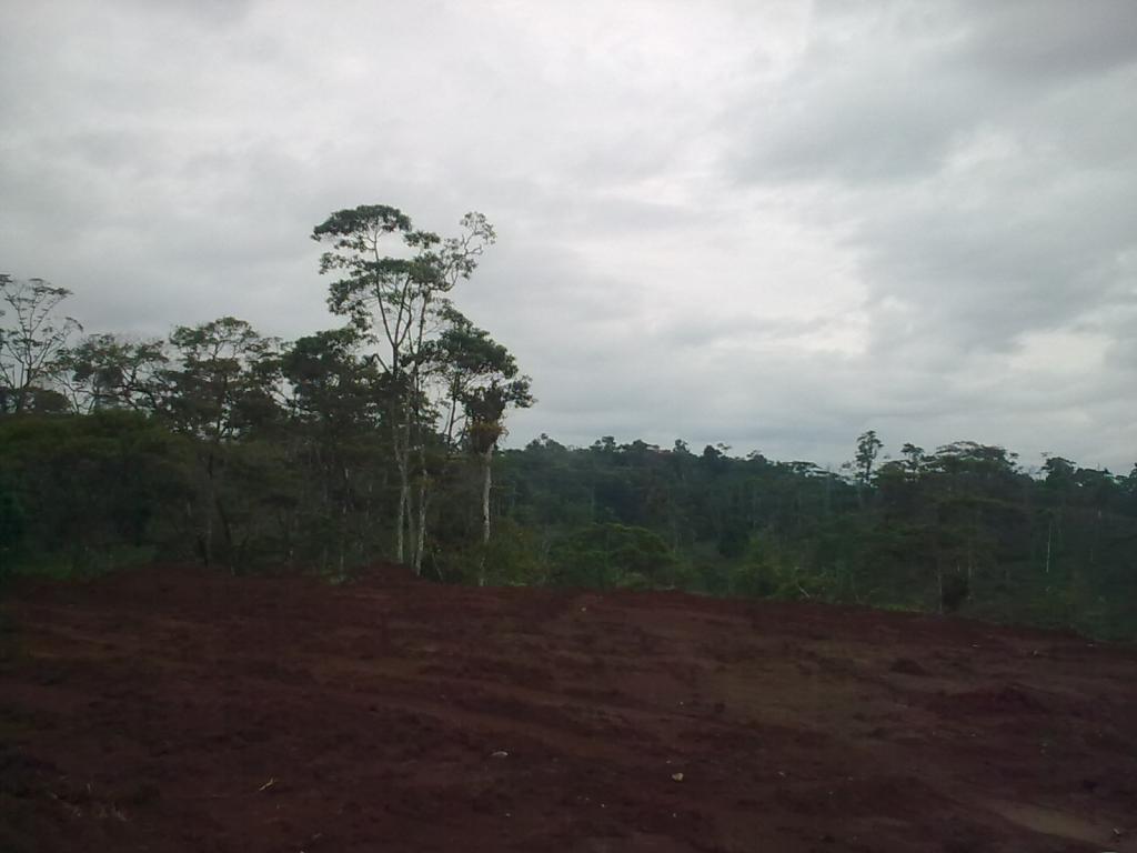 Foto de Simon Bolivar, Ecuador