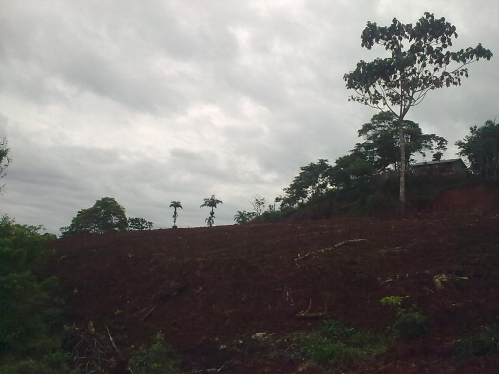 Foto de Simon Bolivar, Ecuador