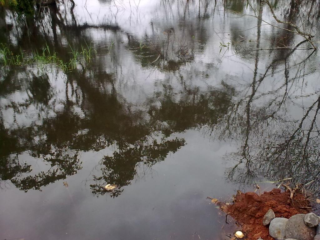 Foto de Simon Bolivar, Ecuador