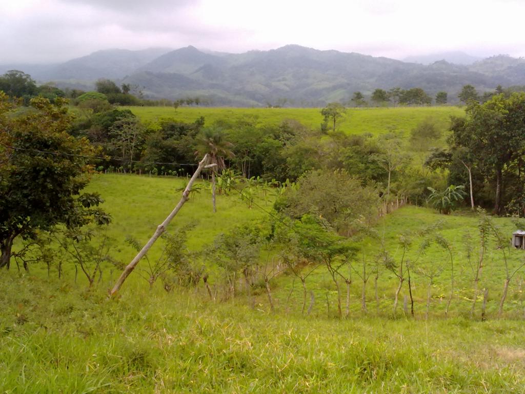 Foto de Zagala (Puntarenas), Costa Rica