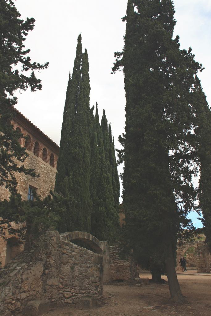 Foto de Aiguamurcia (Tarragona), España