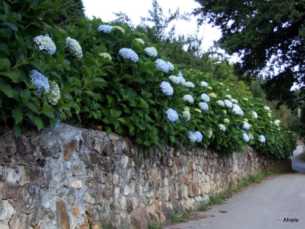 Foto de Quijano (Cantabria), España