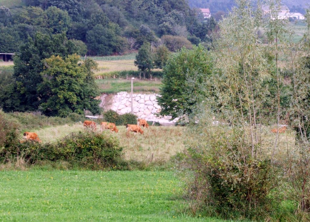 Foto de Pamanes (Cantabria), España