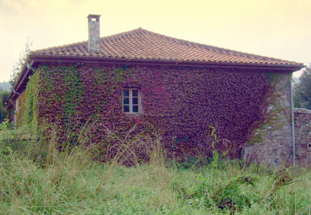 Foto de Pamanes (Cantabria), España