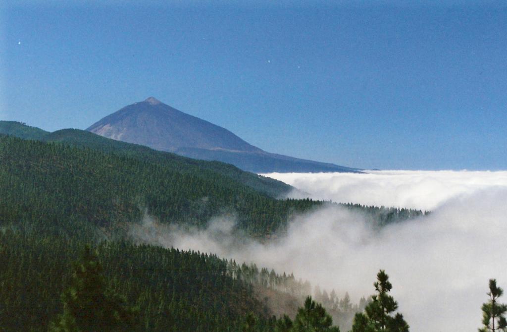 Foto de Tenerife (Santa Cruz de Tenerife), España