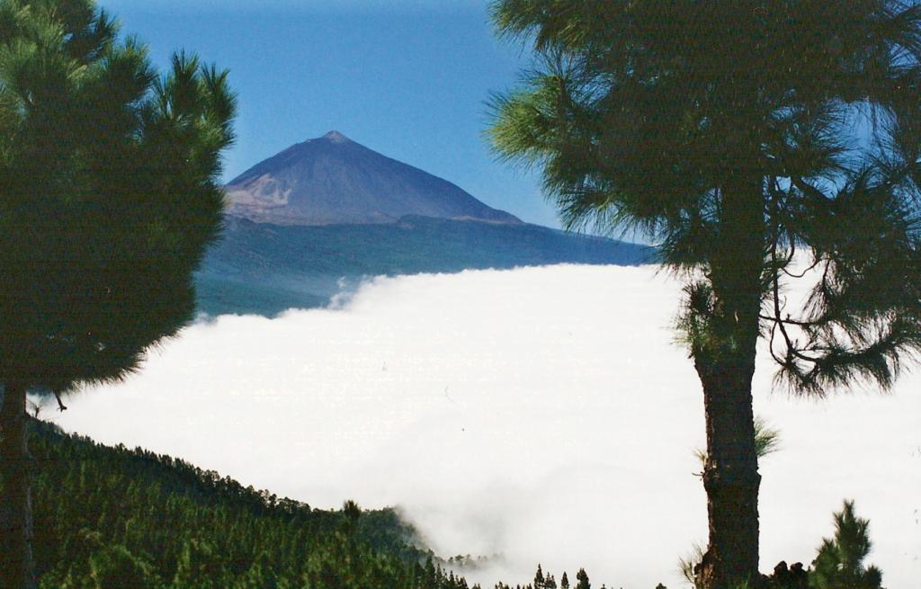 Foto de Tenerife (Santa Cruz de Tenerife), España