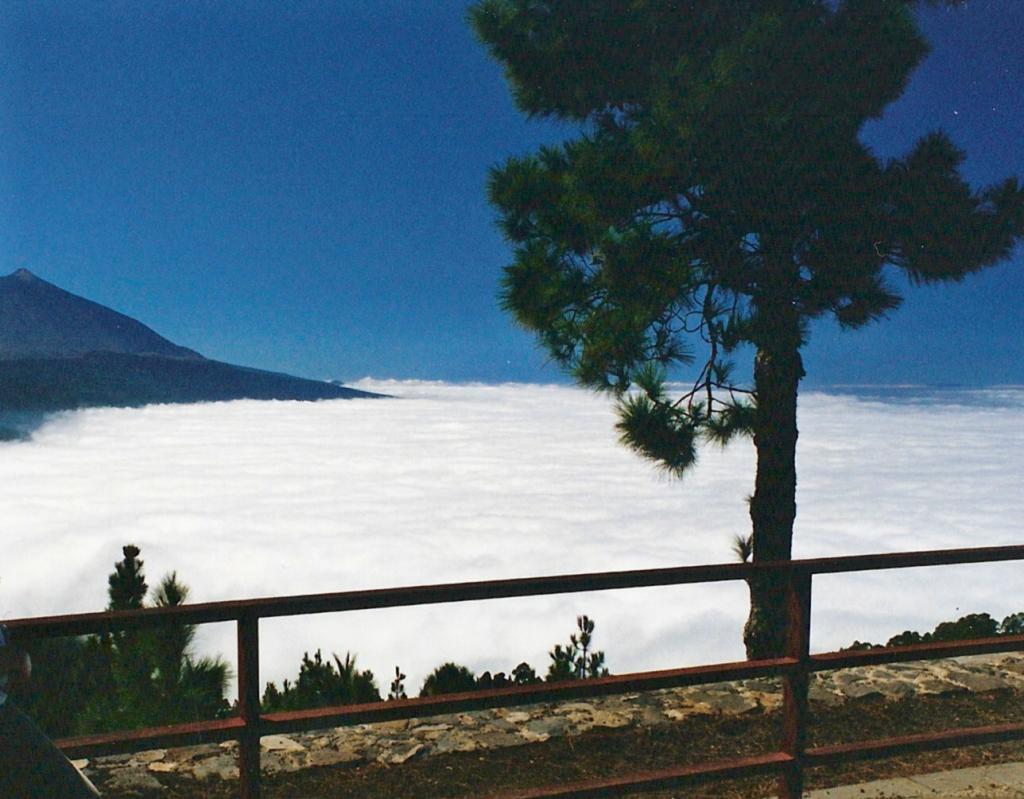 Foto de Tenerife (Santa Cruz de Tenerife), España