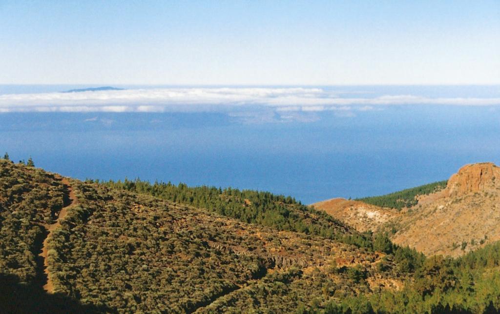 Foto de La Orotava (Santa Cruz de Tenerife), España