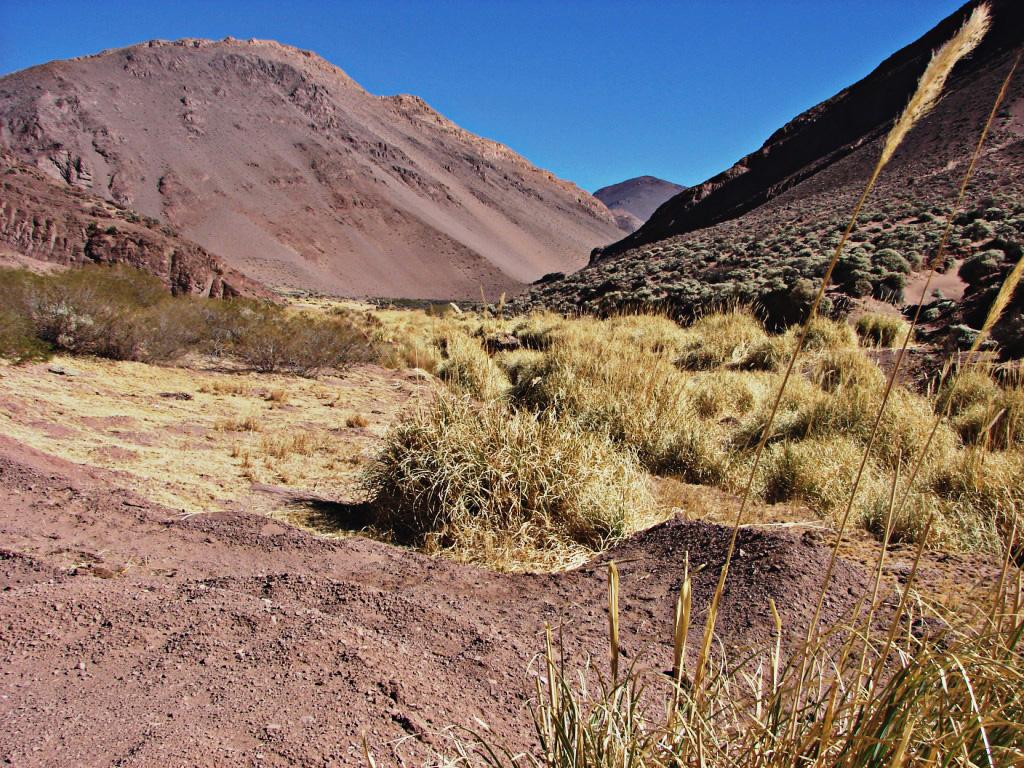 Foto de Jagüé, Argentina