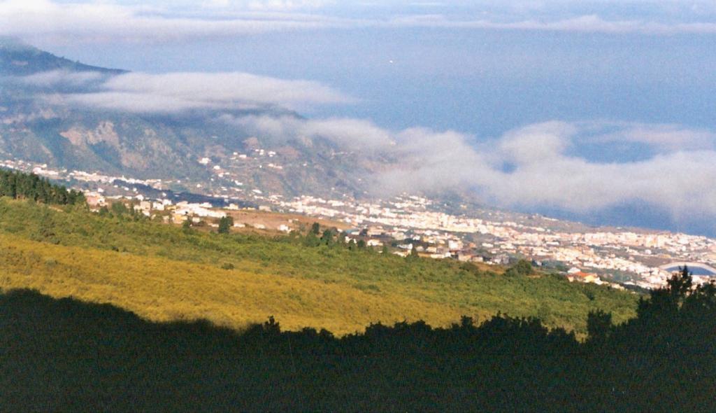 Foto de Puerto de la Cruz (Santa Cruz de Tenerife), España