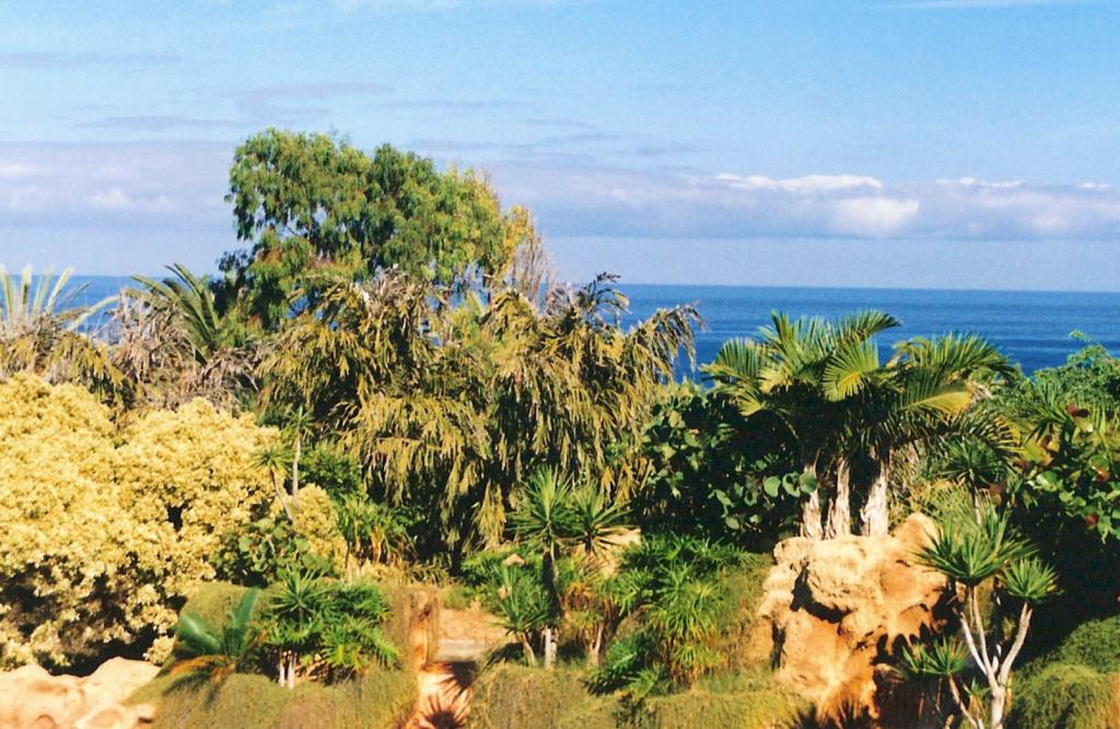 Foto de Puerto de la Cruz (Santa Cruz de Tenerife), España