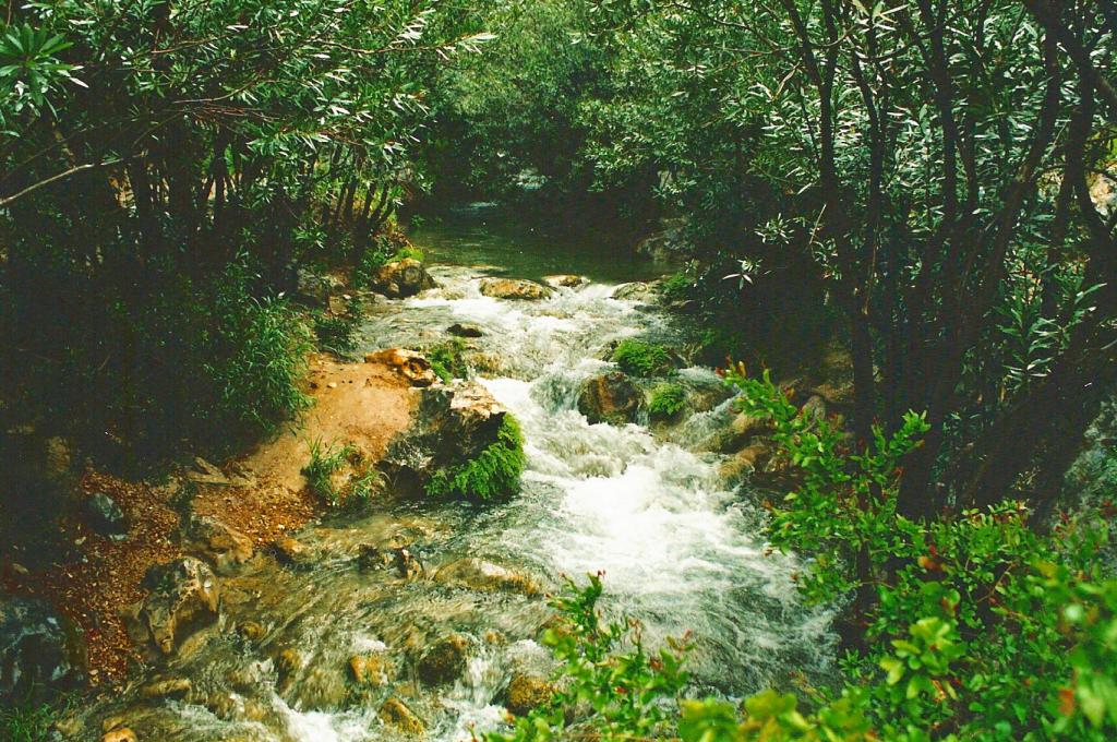 Foto de Callosa d´en Sarria (Alicante), España