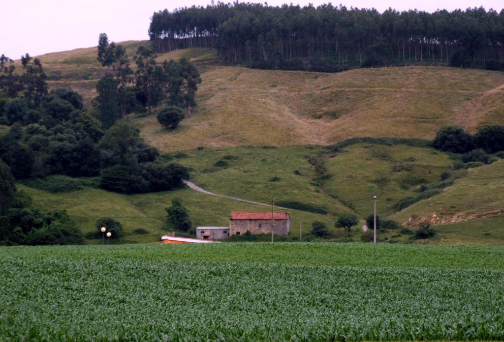 Foto de Parbayon (Cantabria), España