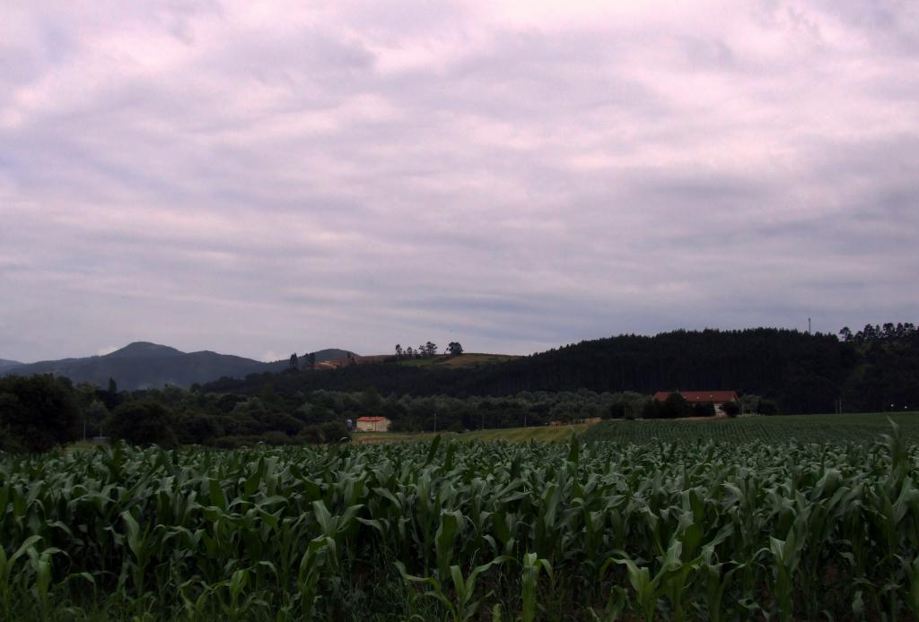 Foto de Parbayon (Cantabria), España