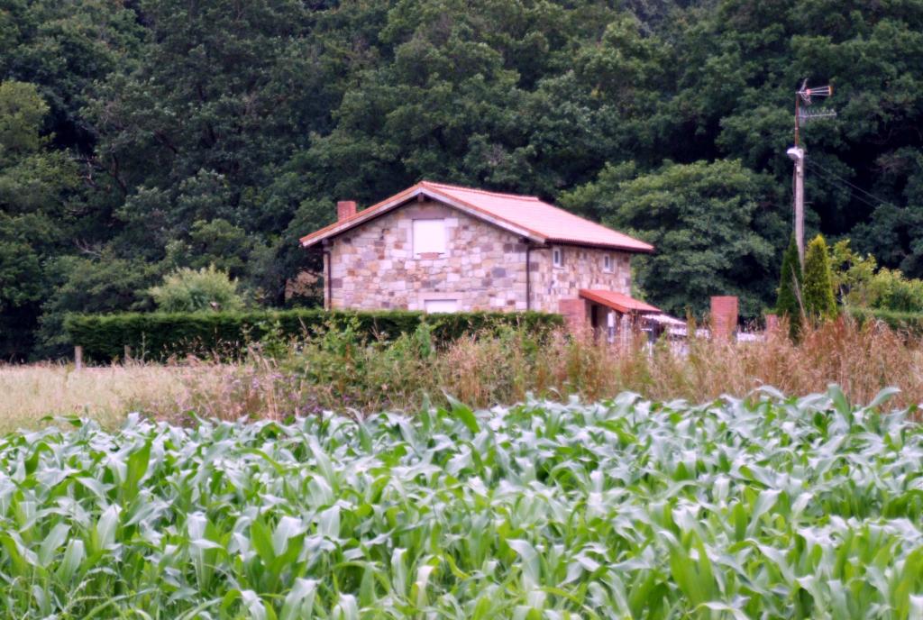 Foto de Parbayon (Cantabria), España