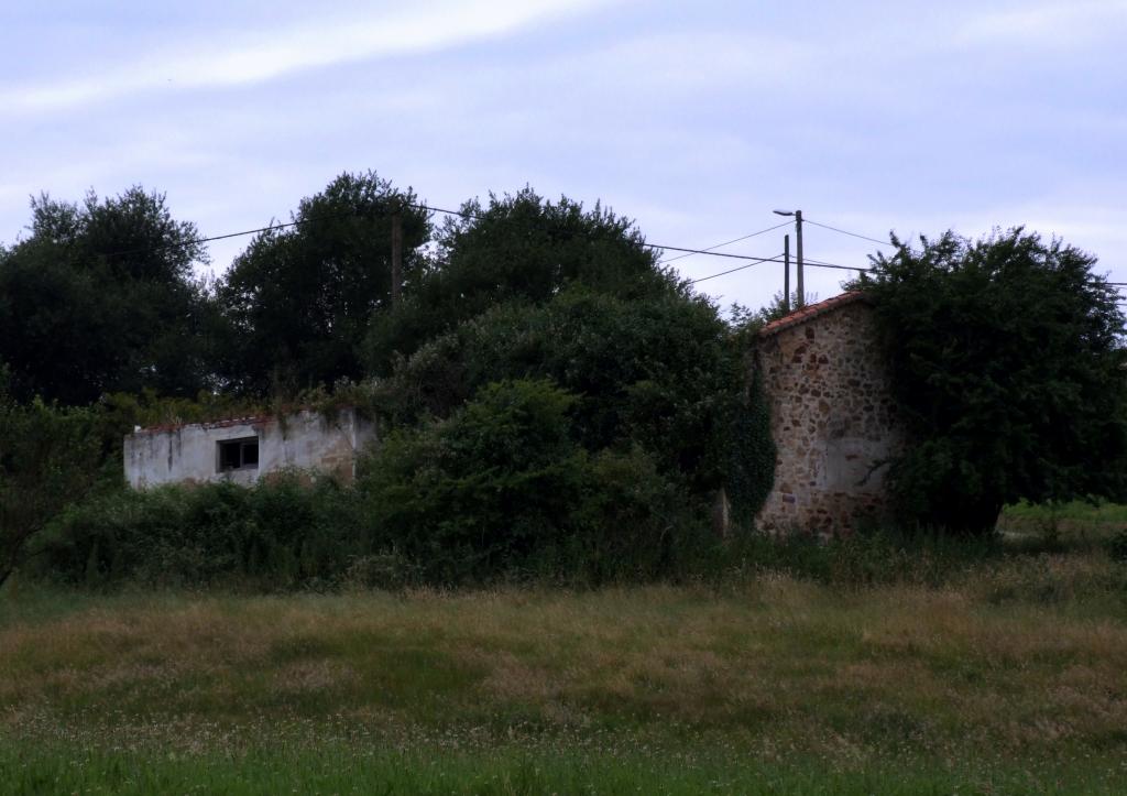 Foto de Parbayon (Cantabria), España