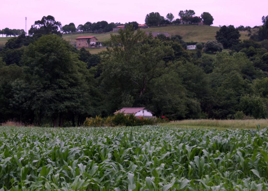 Foto de Parbayon (Cantabria), España