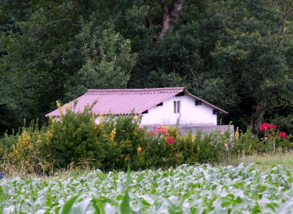 Foto de Parbayon (Cantabria), España