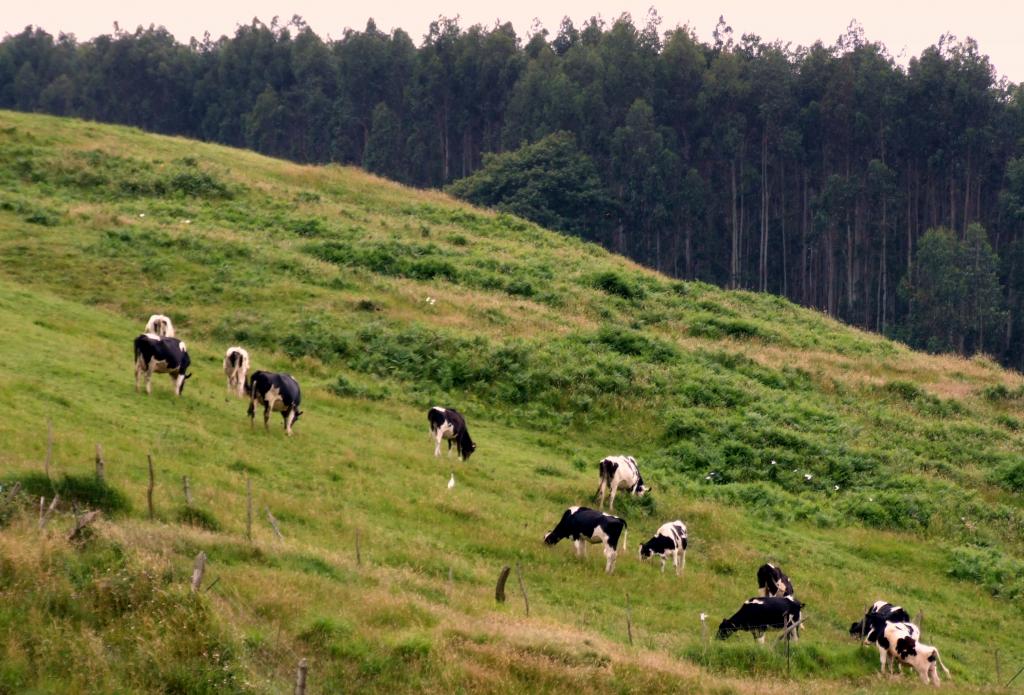 Foto de Parbayon (Cantabria), España