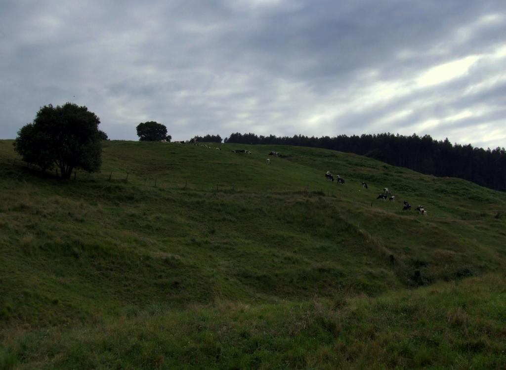 Foto de Parbayon (Cantabria), España