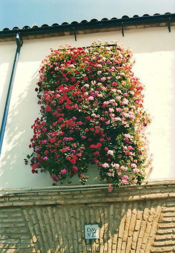 Foto de Córdoba (Andalucía), España