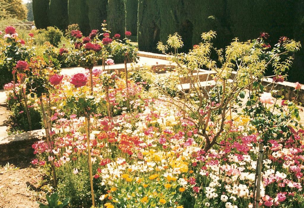 Foto de Granada (Andalucía), España