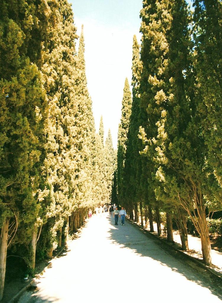 Foto de Granada (Andalucía), España