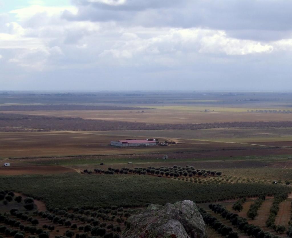 Foto de Herencia (Ciudad Real), España