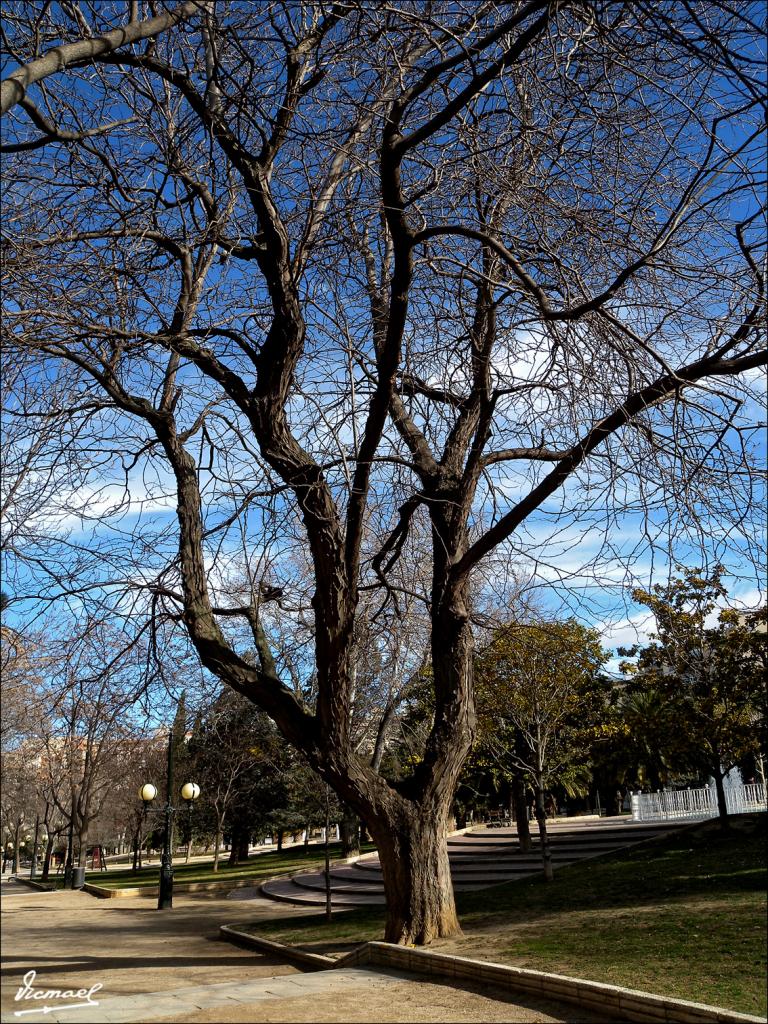 Foto de Zaragoza (Aragón), España