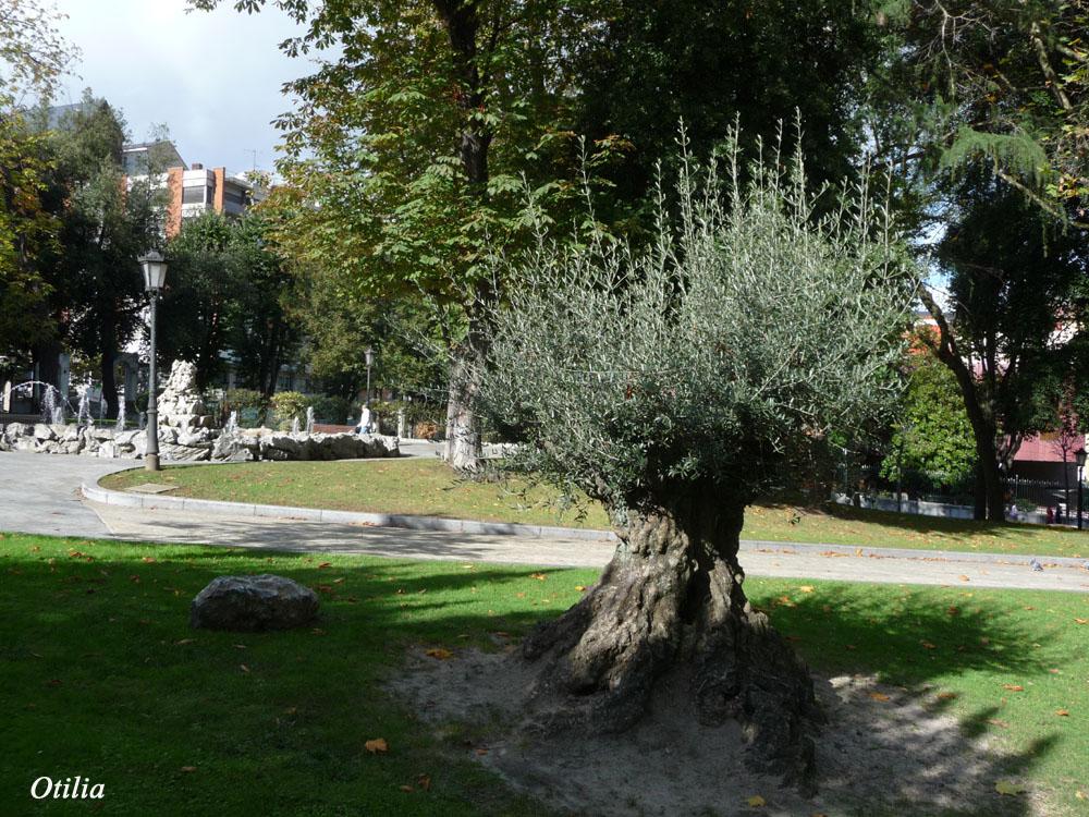 Foto de Oviedo (Asturias), España