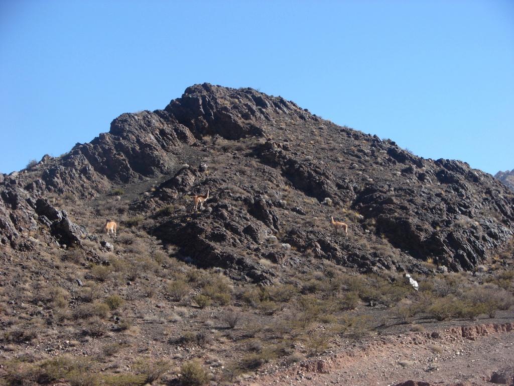 Foto de Jagüe, Argentina