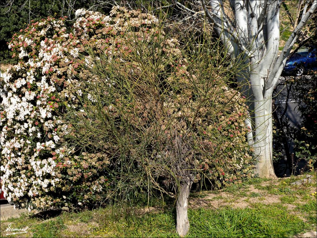 Foto de Zaragoza (Aragón), España