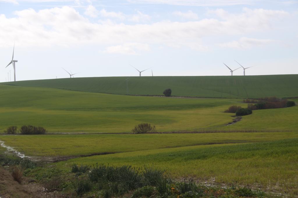 Foto de Jerez de la Frontera (Cádiz), España