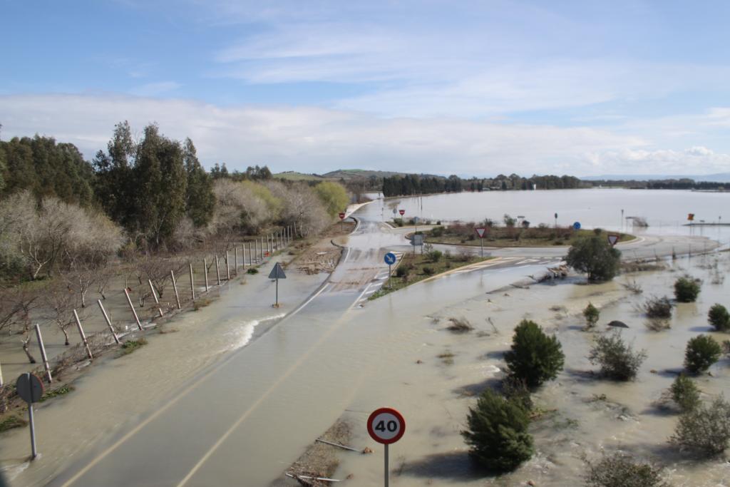 Foto de Jerez de la Frontera (Cádiz), España