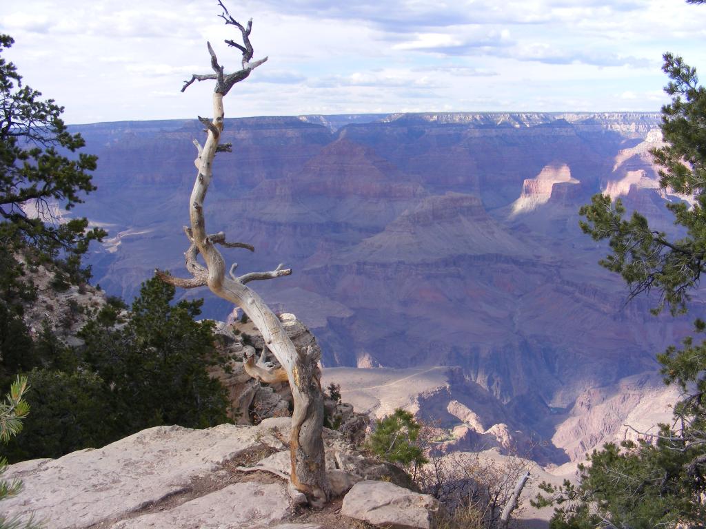 Foto de Tusayan (Grand Canyon) (Arizona), Estados Unidos