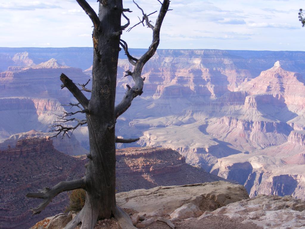 Foto de Tusayan (Grand Canyon) (Arizona), Estados Unidos