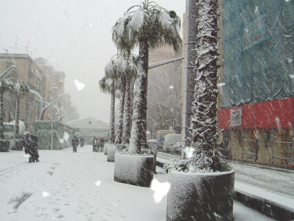 Foto de Barcelona (Cataluña), España