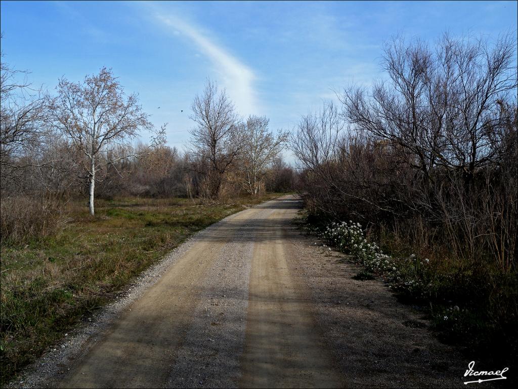 Foto de Zaragoza (Aragón), España